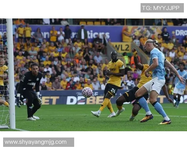 英超焦点战纽卡斯尔对阵狼队双方争夺激烈前景引人关注